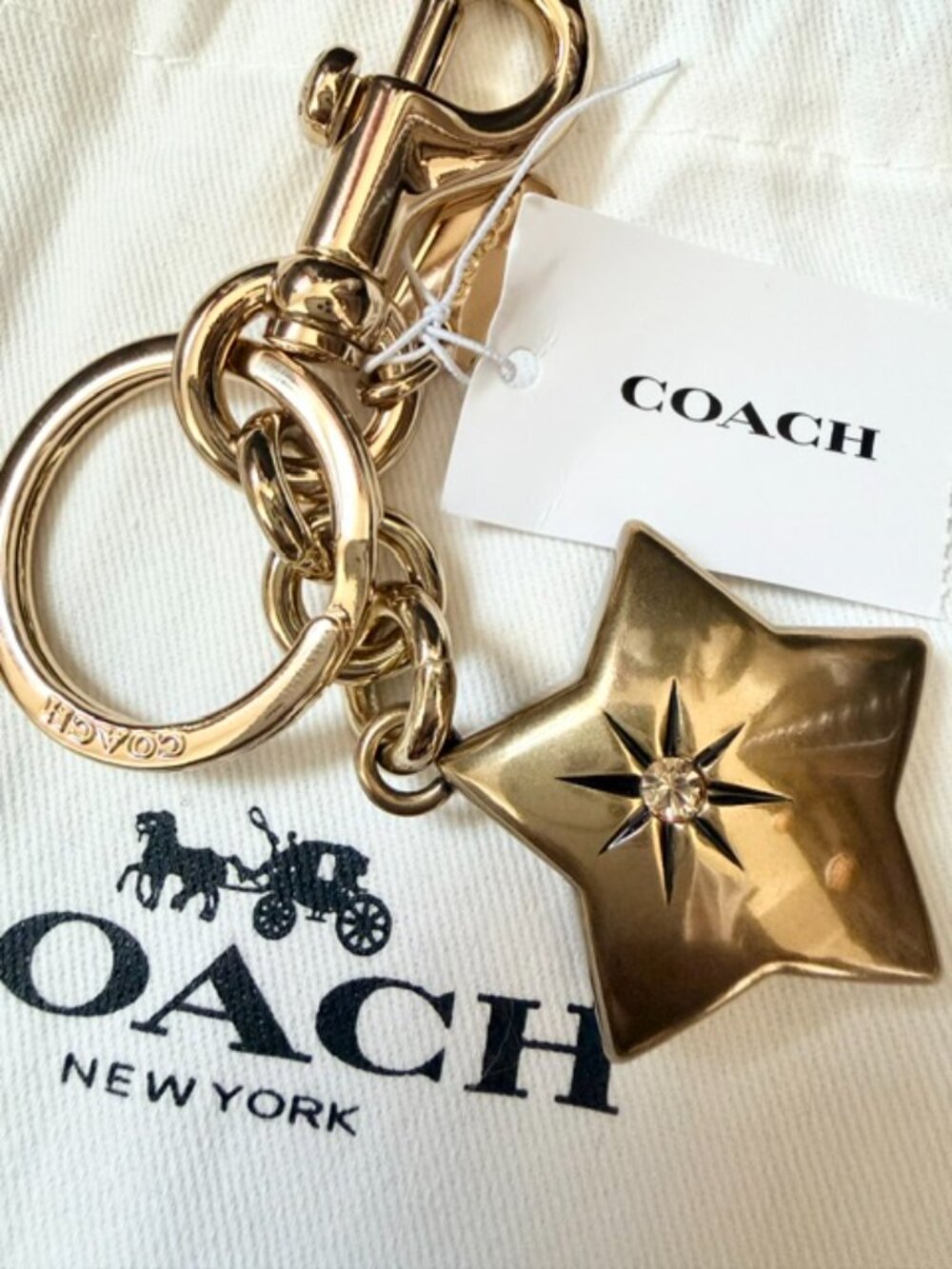 Coach Mini Star Bag Charm  with Hang Tag & Dusty - NWT - Picture 2 of 4